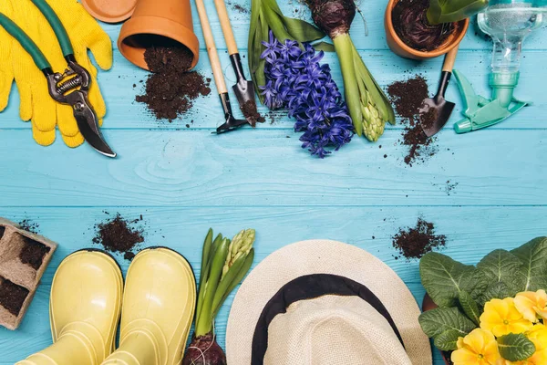 Peralatan Berkebun Dan Bunga Pada Tampilan Atas Kayu Biru Rumah — Stok Foto