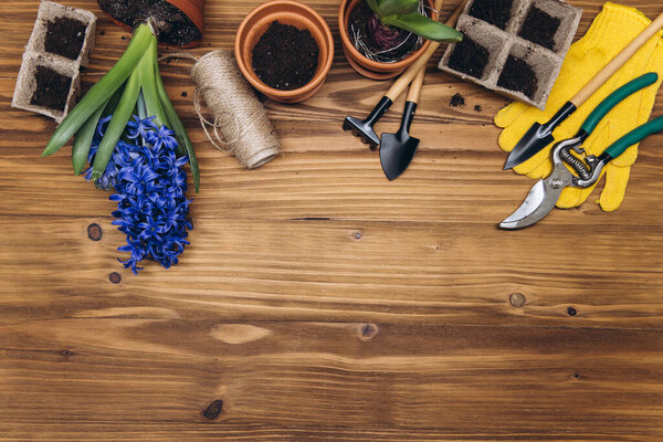 Composition with flowers and gardening tools with space for text on the wooden background
