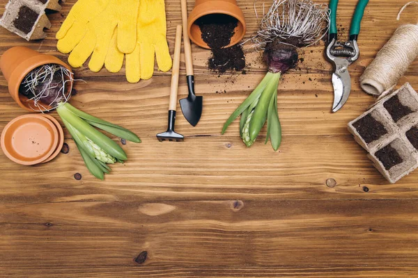 Gardening Tools Flowers Wooden Background Top View Home Spring Gardening — Stock Photo, Image