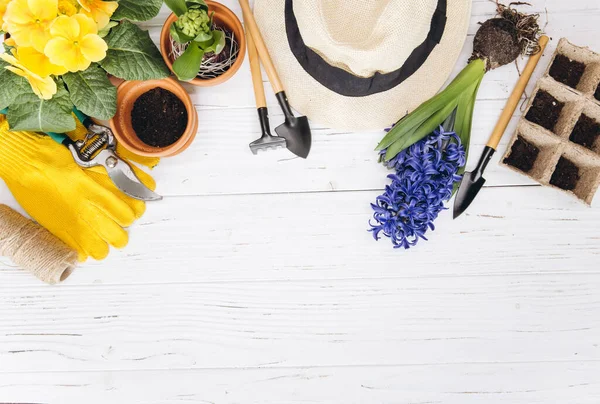 Gardening Tools Flowers White Wooden Background Top View Home Spring — Stock Photo, Image