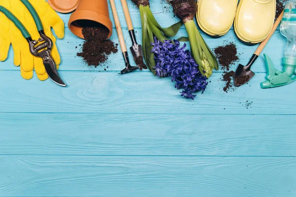 Tuingereedschap Bloemen Blauwe Houten Achtergrond Bovenaanzicht Home Lente Tuinieren Hobby — Stockfoto