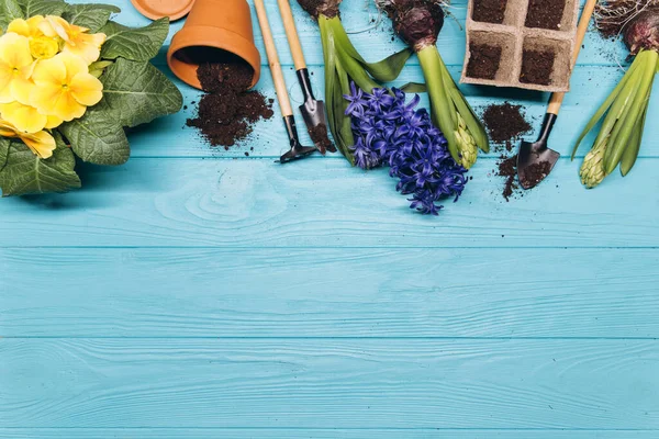 青い木製の背景の上のビューにガーデニングツールと花 ホーム春の園芸趣味 — ストック写真
