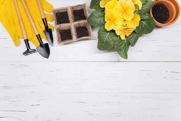 Ferramentas Jardinagem Flores Fundo Madeira Branca Vista Superior Casa Primavera — Fotografia de Stock