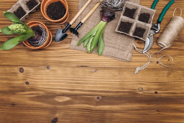 Gardening Tools Flowers Wooden Background Top View Home Spring Gardening — Stock Photo, Image