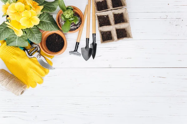 Gartengeräte Und Blumen Auf Weißem Holzhintergrund Von Oben Hobbygärtner Frühling — Stockfoto