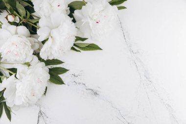 Beyaz mermer zemin üzerinde beyaz şakayıklar, kopyalama alanı, düzlük, tebrik kartı.