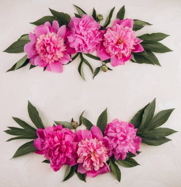 Çiçek kompozisyonu. Pastel arka planda pembe şakayık çiçeklerinden yapılmış bir sınır. Düz yatıyordu. Kopyalama alanı olan üst görünüm