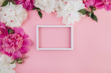 Beyaz ve pembe şakayık ve beyaz boş çerçeve kompozisyonu fotokopi alanı, güzel çiçek arkaplanı, moda, cazibe, düz döşeme