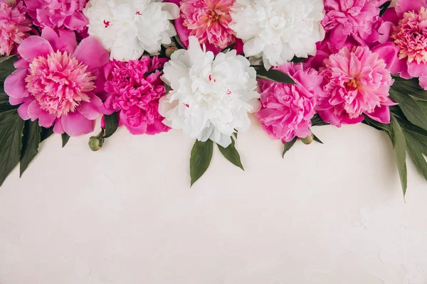 stock image Flowers composition. Border made of pink and white peony flowers on pastel background. Flat lay. Top view with copy space