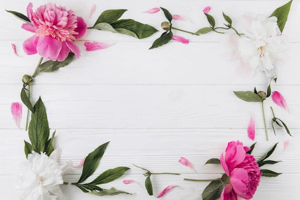粉红和白色的牡丹在白色的木制背景 复制空间 — 图库照片