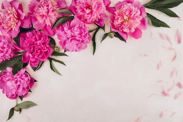 Σύνθεση Λουλουδιών Περίγραμμα Από Ροζ Παιώνια Λουλούδια Παστέλ Φόντο Επίπεδη — Φωτογραφία Αρχείου