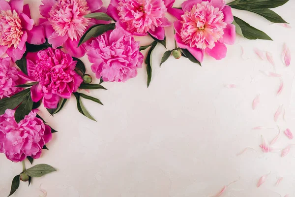 花的构图边框由粉红色的牡丹花制成 背景是油腻的 平躺在床上带有复制空间的顶视图 — 图库照片