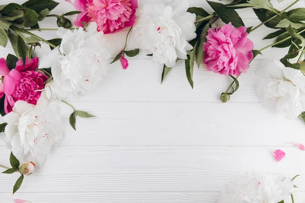 粉红和白色的牡丹在白色的木制背景 复制空间 — 图库照片