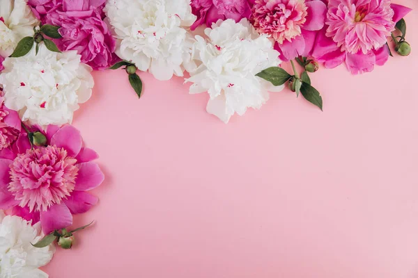 Σύνθεση Λουλουδιών Περίγραμμα Από Ροζ Και Λευκά Παιώνια Λουλούδια Παστέλ — Φωτογραφία Αρχείου