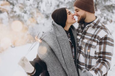 Kış Ormanı 'nda kıvılcımlarla poz veren, Bengal ışıkları tutan, Noel tatillerini birlikte kutlayan,