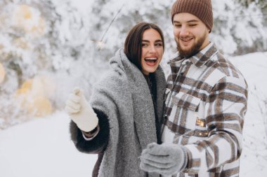 Kış Ormanı 'nda kıvılcımlarla poz veren, Bengal ışıkları tutan, Noel tatillerini birlikte kutlayan,