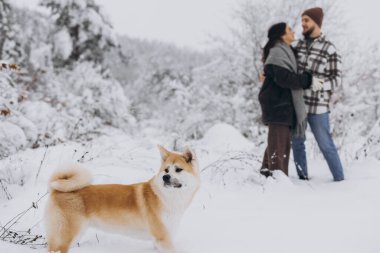 Mutlu genç çift ve akita köpek ormanda kışın ve karlı günde