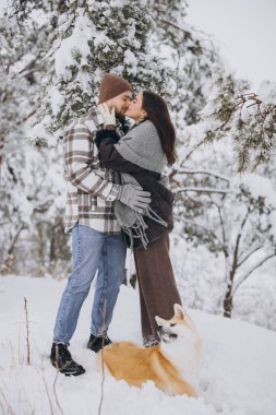 Mutlu genç çift ormanda ve karlı bir günde akita köpeğiyle yürüyor.