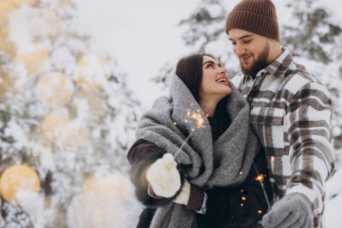 Kış Ormanı 'nda kıvılcımlarla poz veren, Bengal ışıkları tutan, Noel tatillerini birlikte kutlayan,