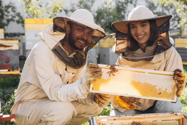 Пара Счастливых Улыбающихся Пчеловодов Работающих Пчеловодческими Инструментами Возле Пчелиного Улья — стоковое фото