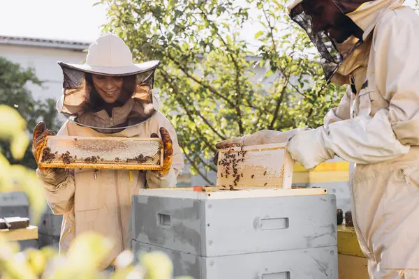 Arı Yetiştiricisi Arılarla Dolu Bir Bal Peteği Ile Çalışır Arılar — Stok fotoğraf