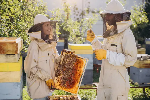 Δύο Μελισσοκόμοι Άντρας Και Γυναίκα Βγάζουν Πλαίσιο Τις Μέλισσες Από — Φωτογραφία Αρχείου