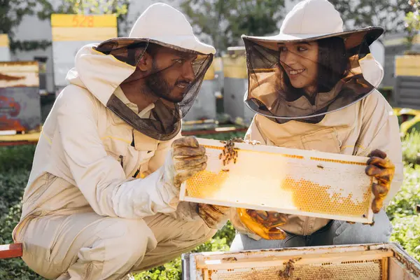 Para Uśmiechniętych Pszczelarzy Pracujących Narzędziami Pszczelarskimi Pobliżu Uli Farmie Pszczół — Zdjęcie stockowe