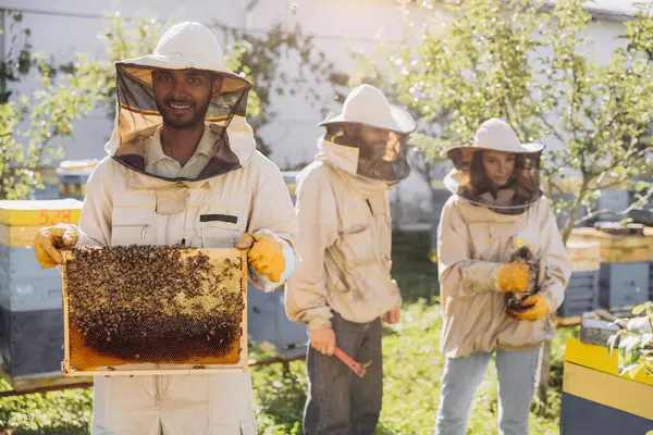 Пчеловоды Работают Собирать Мед Улыбающийся Пчеловод Держит Деревянную Раму Медом — стоковое фото