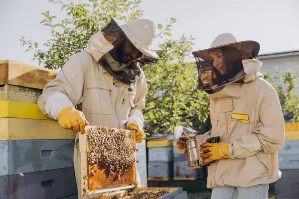 Międzynarodowy Zespół Szczęśliwych Pszczelarzy Mężczyzna Wyciąga Drewnianą Ramę Ula Kobieta — Zdjęcie stockowe