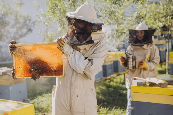 身穿制服的快乐的印第安养蜂人站在蜂房 手持蜂房在蜂场上 — 图库照片