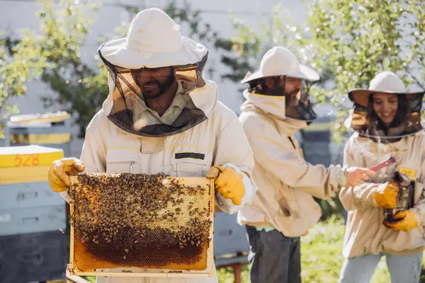 Pszczelarze Zbierają Miód Uśmiechnięty Pszczelarz Trzymający Drewnianą Ramę Miodem Pszczołami — Zdjęcie stockowe