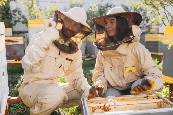 Arı Çiftliğinin Yakınındaki Arı Kovanında Çalışan Gülümseyen Bir Çift Arı — Stok fotoğraf