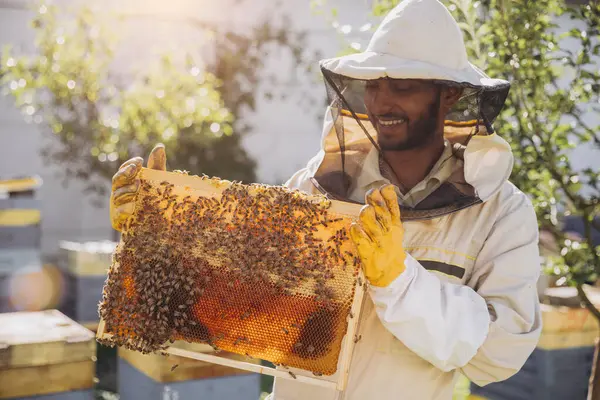 Mutlu Hintli Arı Yetiştiricisi Arı Çiftliğindeki Arı Kovanından Bal Arılarla — Stok fotoğraf