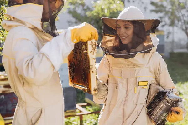 幸せな養蜂家の国際チーム 男は蜂蜜から木製のフレームを取り出し 女性は喫煙者を保持します — ストック写真