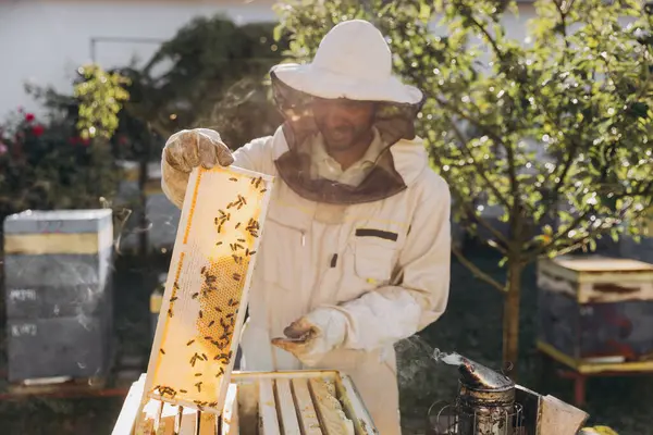 蜂蜜の巣から蜂蜜を除去する養蜂家 ハチから蜂蜜を取る養蜂家スーツの人 養蜂場でハニカムと働くハチスーツを着ている農民 — ストック写真
