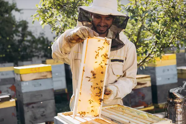 Μελισσοκόμος Αφαιρεί Την Κηρήθρα Από Την Κυψέλη Νθρωπος Στολή Μελισσοκόμου — Φωτογραφία Αρχείου