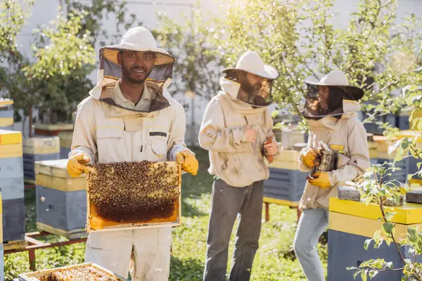 Pszczelarze Zbierają Miód Uśmiechnięty Pszczelarz Trzymający Drewnianą Ramę Miodem Pszczołami — Zdjęcie stockowe