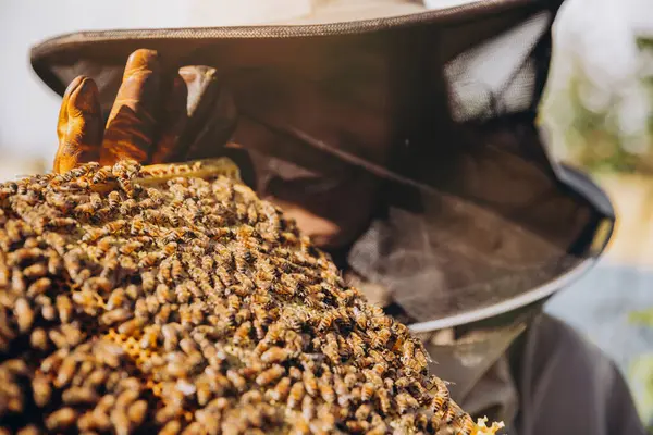 Zbliżenie Samica Pszczelarz Kombinezonie Ochronnym Trzymający Ramę Pszczoły Miodnej Pszczołami — Zdjęcie stockowe