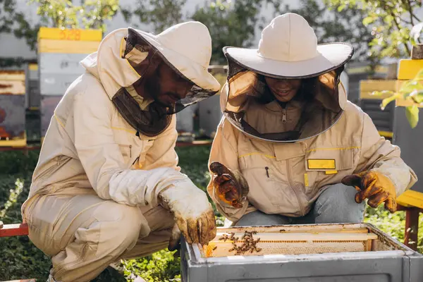 蜂の農場の養蜂場の近くで養蜂用具を使用している幸せな微笑みの養蜂家のカップル — ストック写真