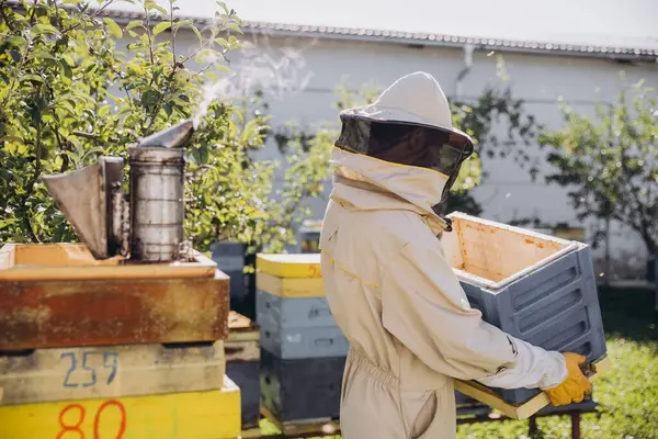 Pszczelarz Przenosi Ogrodzie Farmie Pszczelarskiej Koncepcja Pszczelarstwa — Zdjęcie stockowe
