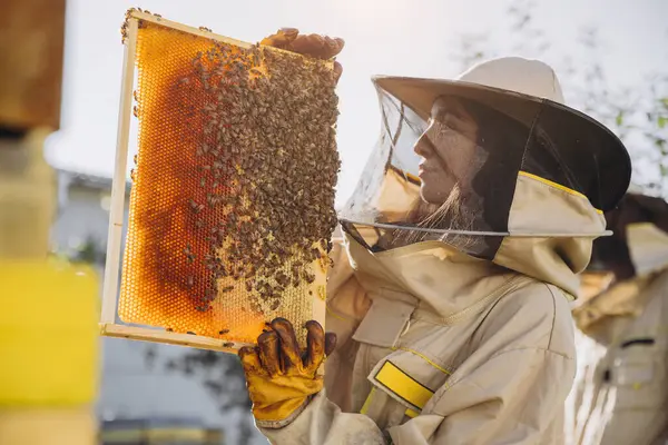 Arı Kovanında Duran Elinde Bal Arısı Çerçevesi Tutan Üniformalı Mutlu — Stok fotoğraf