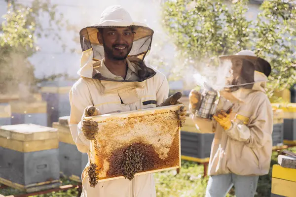 身穿制服的快乐的印第安养蜂人站在蜂房 手持蜂房在蜂场上 — 图库照片