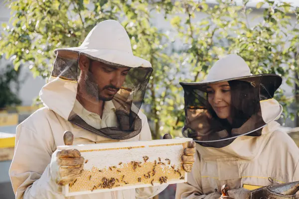 ハッピーな女性の養蜂家 インド人男性のアペルニストによる喫煙者を保持する 養蜂園でハニカムフレームを調べる — ストック写真