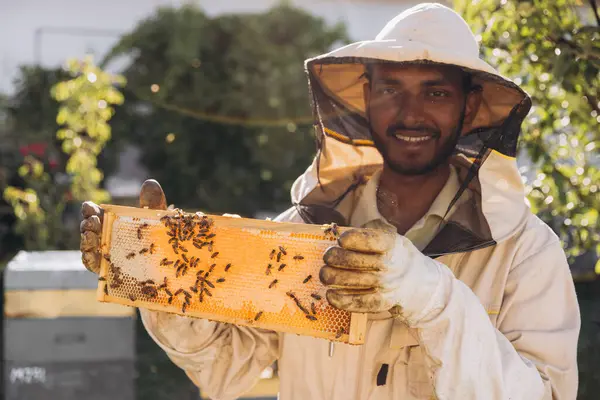 Happy smiling Indian Beekeeper in a uniform standing in apiary and holding a honeybee frame on bees farm