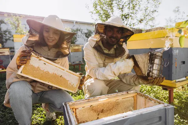 养蜂场的养蜂人在蜂窝附近用养蜂工具干活 一对快乐的笑着养蜂人在一起 — 图库照片