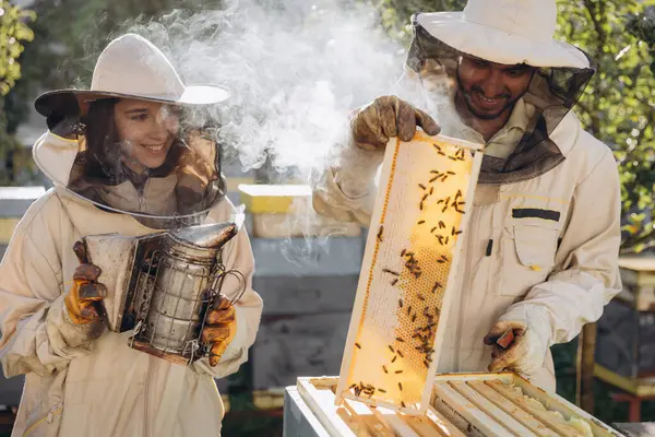 Счастливая Женщина Пчеловод Держит Курильщика Индийским Мужчиной Пасечником Осматривая Сотовую — стоковое фото
