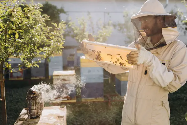 Pszczelarz Mundurze Stojący Pasiece Trzymający Ramę Pszczoły Miodnej — Zdjęcie stockowe