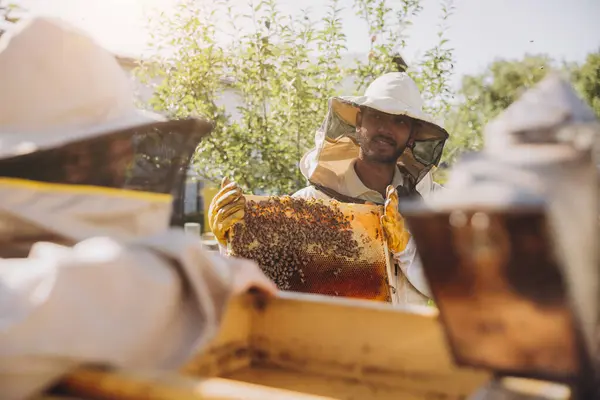 Two happy smiling beekeepers works with honeycomb full of bees, in protective uniform working on apiary farm, getting honeycomb from the wooden beehive