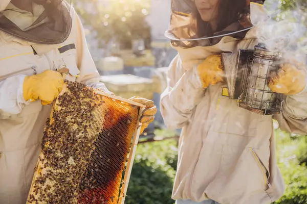 Пара Пчеловодов Мужчина Женщина Вынимают Раму Пчелами Улья Пчелиной Ферме — стоковое фото