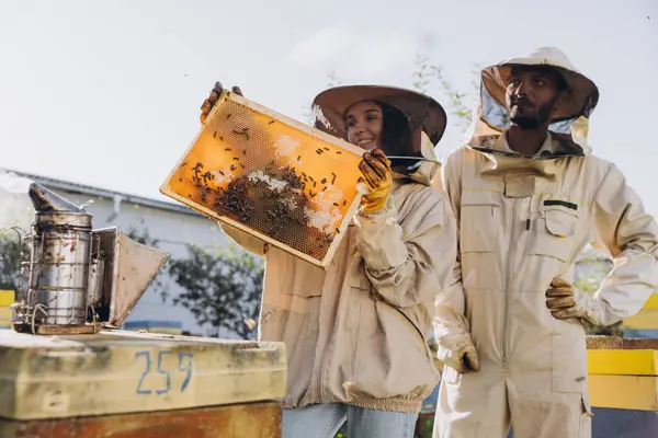 Pár Šťastně Usmívajících Včelařů Pracujících Včelařským Nářadím Blízkosti Úlu Včelí — Stock fotografie